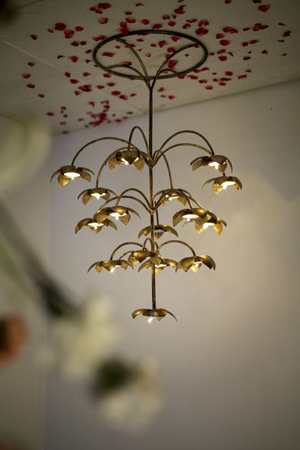 Zira Collection Item